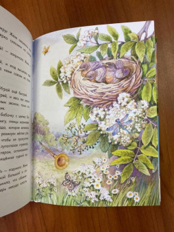 Валентин Катаев: Цветик-семицветик и другие сказки