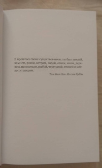 Матиас Энар: Ежегодный пир Погребального братства