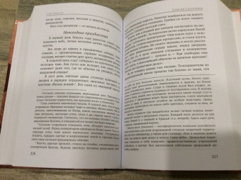 Сэй Сенагон: Повесть о прекрасной Отикубо. Записки у изголовья