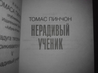 Томас Пинчон: Нерадивый ученик