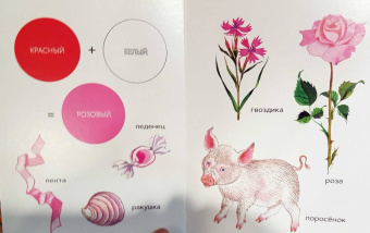 Елена Ивановская: Моя первая книжка о цвете