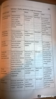 Алексей Колядов: Грибная охота. Советы опытного грибника