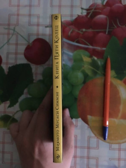 Мусаси Миямото: Книга Пяти Колец. Стратегия - это ремесло воина
