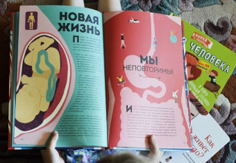 Макс Пембертон: Тело человека. Как работает наш удивительный организм