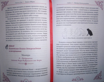 Мишель Скай: Богиня говорит. Преобразите свой мир с помощью ритуалов и мантр