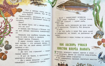 Святослав Сахарнов: Морские сказки