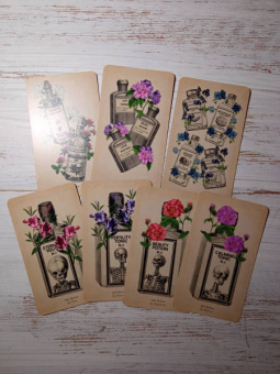 Клэр Гудчайлд: Antique Anatomy Tarot. Таро античной анатомии