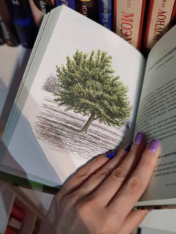Андреас Хазе: Деревья. Как жизни человека и дерева переплетены друг с другом