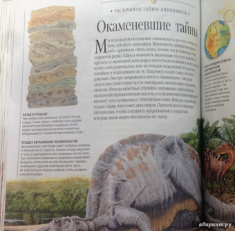 Тина Канделаки: Гигантская энциклопедия живого мира