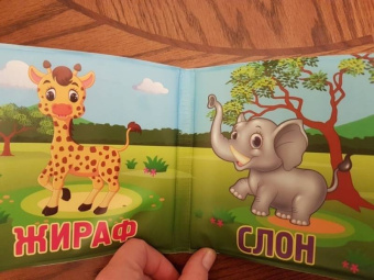Дикие животные (BB-1)