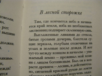 Ксения Некрасова: В деревянной сказке