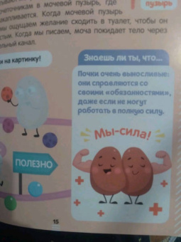 Наклейки. Как устроено моё тело
