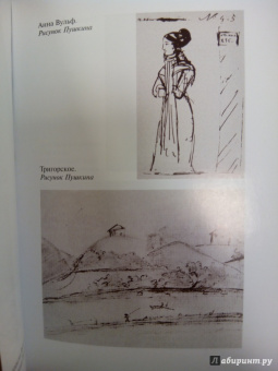Владимир Новиков: Пушкин