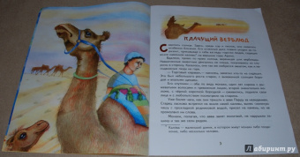 Инна Андреева: Рыбка для монаха. Невыдуманные истории для детей