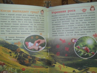 Дмитрий Кошевар: Планета Земля