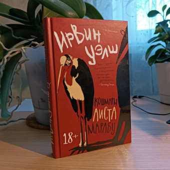 Ирвин Уэлш: Кошмары Аиста Марабу