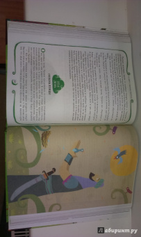 Нурдан Дамла: 365 дней с любимым Пророком