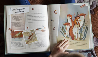 Федерика Магрин: Волшебный мир фей. Вместе с феями изучаем природу, печём кекс, мастерим подарки