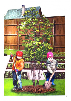 Ирина Батова: Живое слово как основа развития речи дошкольника. Подготовительная группа. 6-7 лет. Март-май. ФГОС