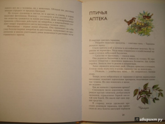 Николай Осипов: Заколдованное дерево