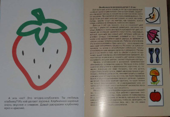 Фрукты