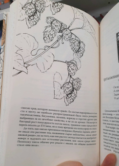 Фез Инкрайт: Тайны растений. Народная магия и исцеление