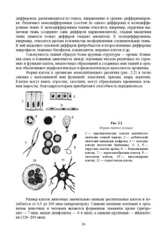 Зеленевский, Зеленевский, Щипакин: Анатомия и физиология сельскохозяйственных животных. Учебник для СПО