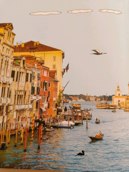 Мак Гагельдонк: От ручейка до океана. Водный мир нашей планеты