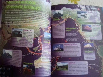 Горы, леса и растительный мир
