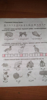 Прописи. Учусь читать и писать. 5-7 лет. ФГОС ДО