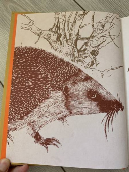 Владимир Пропп: Пропп. Все о сказках. Комплект из 2-х книг