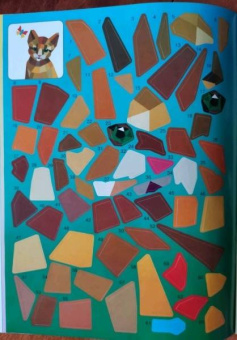 Котята и кошки