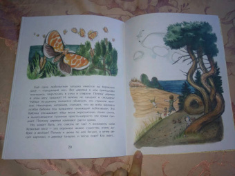 Ольга Велейко: Калининград. Там, где танцует лес