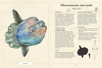 Сэми Бэйли: Энциклопедия удивительных животных