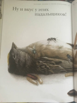 Барт Россел: Поразительные насекомые. Книга про подземных математиков, мастеров блефа, дружных кочевников, зомби