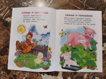 Ирина Шестакова: Домашние животные