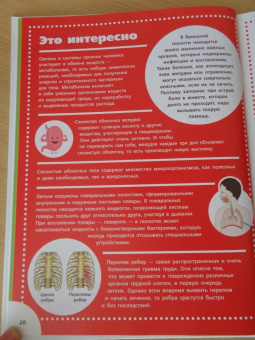 Анна Спектор: Анатомия