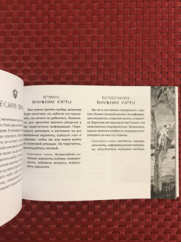 Мюллер, Курара: Таро магических собак + Таро Театр кукол (6080)