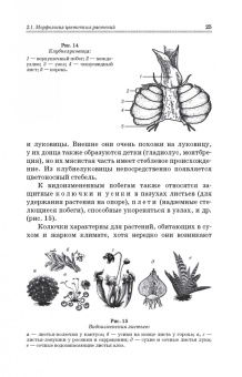 Шаламова, Крупина, Миникаев: Цветоводство. Практикум. Учебное пособие