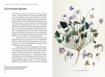 Майкл Аллаби: Скандальная правда о сексуальной жизни растений