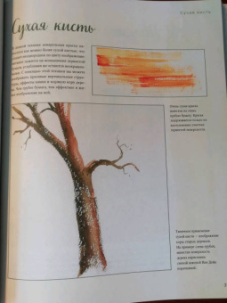 Экхардт Хофманн: Акварель. Полный курс рисования. Основы, техники, сюжеты