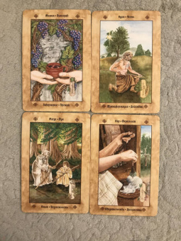 Асала, Идальго, Мюллер: Кельтские ритуалы + Кельтская народная кухня + Голоса деревьв. Комплект (6425)