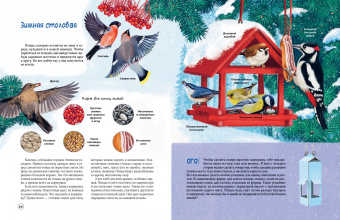 Юлия Смирнова: Природа в городе