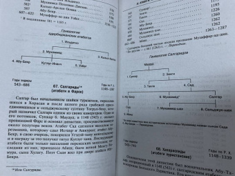 Стэнли Лейн-Пул: Мусульманские династии. Хронологические и генеалогические таблицы с историческими введениями