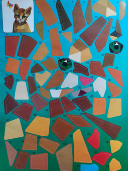 Котята и кошки