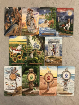 Конуэй, Найт, Мюллер: Комплект:  Таро магических собак+Таро Изменения Формы