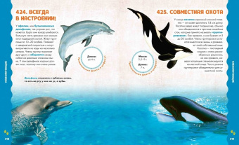 Лиза Лупано: Животные