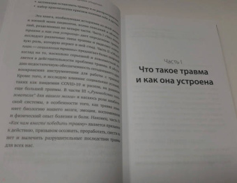 Пол Конти: Травма. Невидимая эпидемия