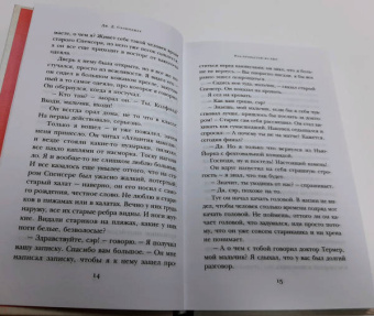 Джером Сэлинджер: Над пропастью во ржи