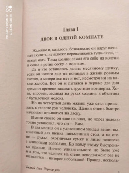 Гавриил Троепольский: Белый Бим Черное ухо